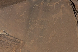 Petroglyphs Prints: Ancient rock engravings, Twyfelfontein, UNESCO World Heritage Site, Namibia, Africa