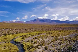 Andean Prints: Andean volcanic landscape near the Blue Lake (Laguna Celeste)