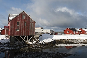 Andenes Prints: Andenes, Vesteralen Islands, Arctic, Norway, Scandinavia, Europe