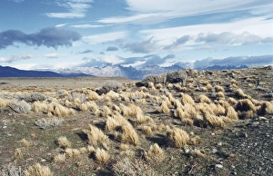El Calafate Prints: Andes mountain range, near El Calafate, Patagonia, Argentina, South America