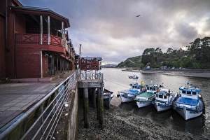 Trawler Prints: Angelmo fish market, Puerto Montt, Chile, South America