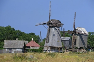 Estonia Prints: Angla windmills, Saaremaa Island, Estonia, Baltic States, Europe