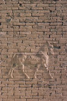 Achaemenid Prints: Animal in relief on the wall of the South Palace
