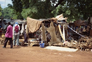 Animal skins for sale, Bamako, Mali, Africa