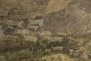 Images Dated 5th January 2009: Some of the animals in the Palaeolithic artwork on the roof of the Zoo Cave