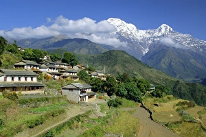 Grow Prints: Annapurna South 7219m