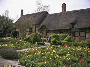 Thatch Collection: Anne Hathaways Cottage, birthplace and childhood home of Shakespeares future wife