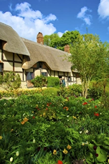 Cottages Prints: Anne Hathaways Cottage, Shottery