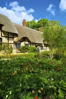 Thatch Collection: Anne Hathaways Cottage, Shottery, Stratford upon Avon, Warwickshire, England, United Kingdom, Europe