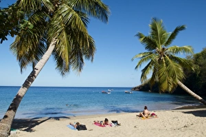 Martinique Prints: Anse Dufour beach, Martinique, French West Indies, Caribbean, Central America
