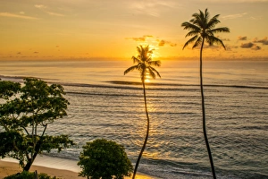 Backlit Prints: Anse Forbons beach, Mahe, Republic of Seychelles, Indian Ocean, Africa