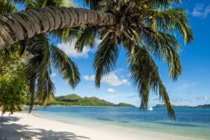 Indian Culture Gallery: Anse Government beach, Praslin, Republic of Seychelles, Indian Ocean, Africa
