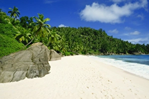 Anse Intedance