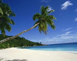 Anse Intedance Prints: Anse Intedance