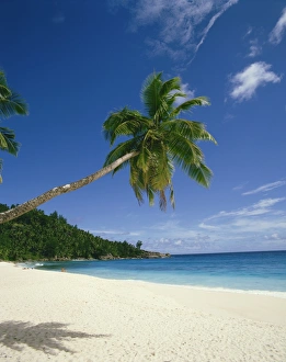 Anse Intedance