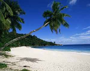 Wonderful Prints: Anse Interdance