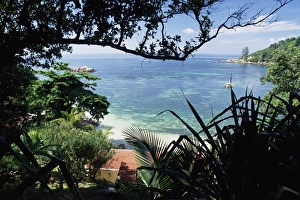 Praslin Prints: Anse Lazio