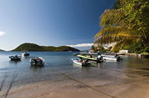 Iles Des Saintes Prints: Anse Mire, Iles des Saintes, Terre de Haut