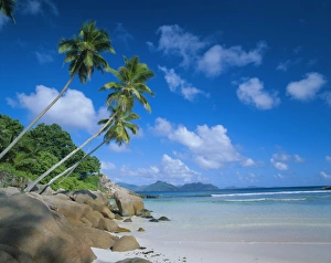 La Digue Prints: Anse Severe