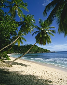 Anse Takamaka