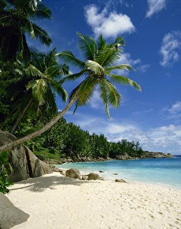 Anse Takamaka