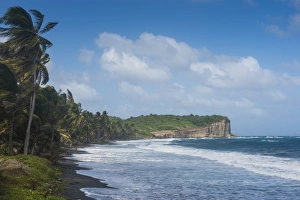Grenada Prints: Antoine Bay in the north of Grenada