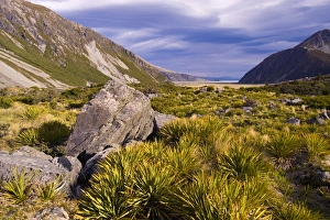 Images Dated 21st November 2008: Aoraki Mount Cook National Park, UNESCO World Heritage Site, South Island, New Zealand, Pacific