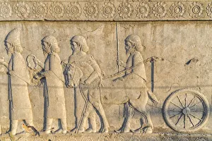 Apadana stairway facade, relief of the Achaemenids, Medes and Persians, Persepolis Apadana stairway facade, relief of the Achaemenids, Medes and Persians, Persepolis