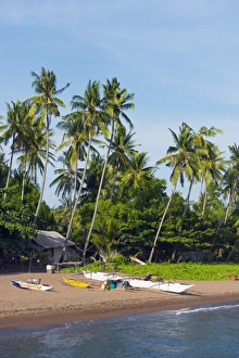Cebu Prints: Apo Island, Cebu, The Visayas, Philippines, Southeast Asia, Asia
