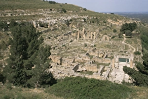Libyan Prints: Apollo Sanctuary