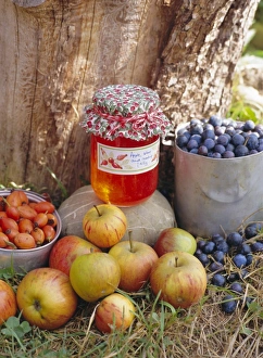 Delicious Prints: Apple, Sloe and Rosehip jam and fruit
