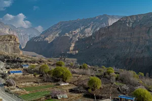 Mustang Kingdom Prints: Apple trees, Kingdom of Mustang, Himalayas, Nepal, Asia