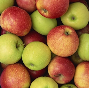 Shape Prints: Apples