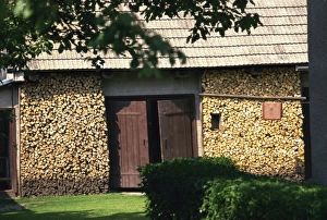 Fuel Prints: Well appointed woodpile, Biatowieza, Podlasie, Poland, Europe