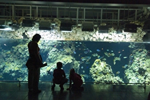 Aquarium Prints: Aquarium, Oceanographic Institute, Monaco-Veille, Monaco, Europe