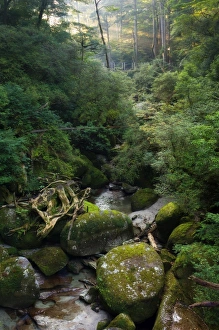 Kyushu Prints: Arakawa River