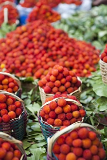 Arbutus in a fruit shop, Medina, Fez, Morocco, North Africa, Africa
