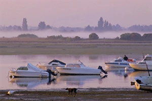 Arcachon Prints: Arcachon, Gironde, Aquitaine, France, Europe
