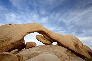 Images Dated 1st March 2010: The arch at White Tank Campground, Joshua Tree National Park, California