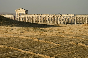 Syrian Prints: Archaelogical site