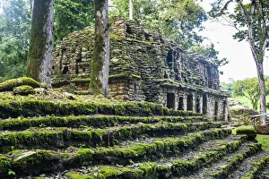 Rainforests Prints: Archaeological Maya site of Yaxchilan in the jungle of Chiapas, Mexico, North America