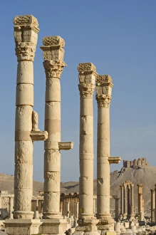 Syrian Prints: Archaeological ruins