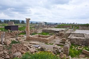 Images Dated 7th March 2008: The archaeological site of Paphos, UNESCO World Heritage Site, Cyprus, Europe