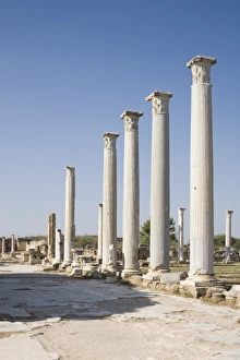 North Cyprus Prints: The archaeological site of Salamis, Salamis, North Cyprus, Europe