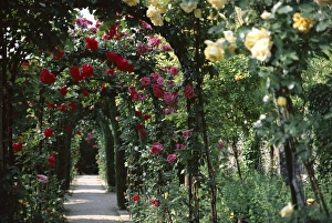 Arches covered with roses