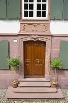 Pot Plant Prints: Architectural detail of an 18th century door in Basel