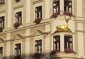 Images Dated 5th August 2009: Architecture in Upper Square (Horni Namesti), Moravia, Olomouc, Czech Republic, Europe