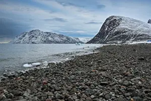 Nature Lovers Prints: Arctic desert around Grise Fjord