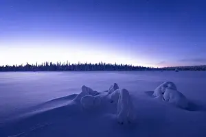 Arctic dusk lights over the frozen land covered with snow in winter, Lapland, Finland, Europe