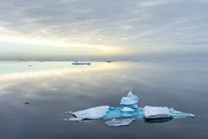 Floating On Water Prints: Arctic Ocean, Arctic, Norway, Scandinavia, Europe